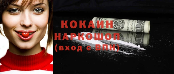 мдпв Гусь-Хрустальный