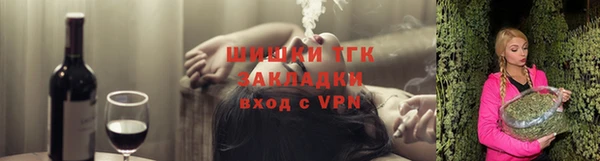 мдпв Гусь-Хрустальный