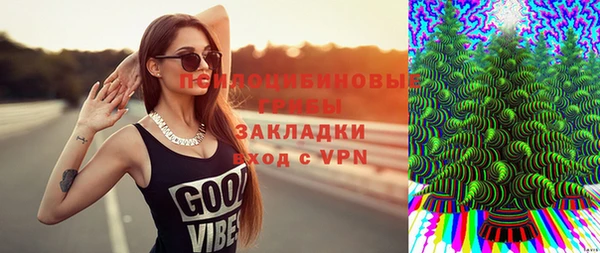 сатива Гусиноозёрск