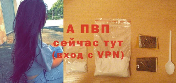 сатива Гусиноозёрск