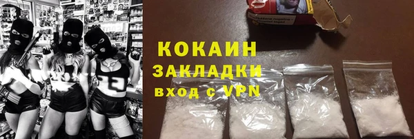 мдпв Гусь-Хрустальный