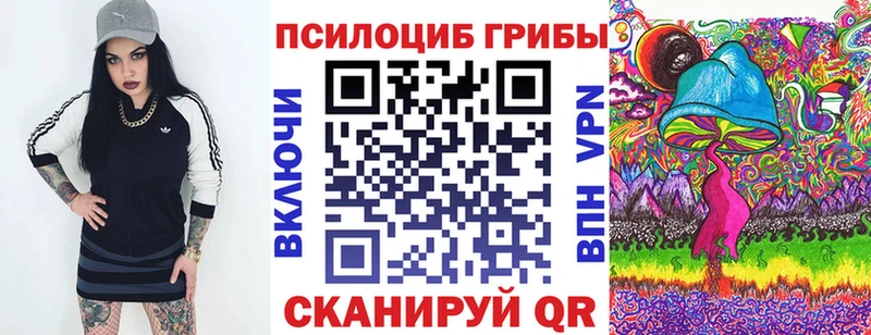 Купить где  Нефтегорск  Галлюциногенные грибы Psilocybine cubensis 