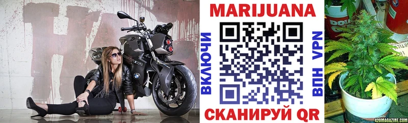 Купить где  Нефтегорск  Канабис гибрид 